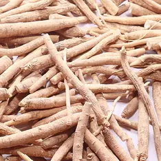 Ashwagandha botanical reference photo