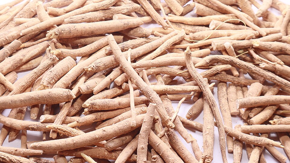 Ashwagandha roots